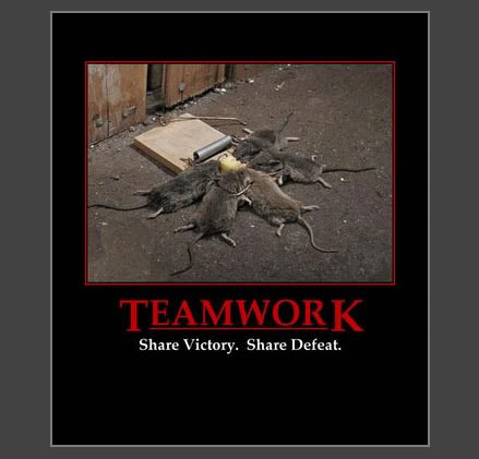 Teamwork honda #3