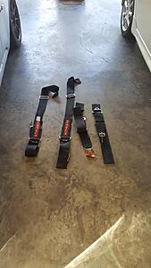 Free: 4 point harness-3pstu6f.jpg