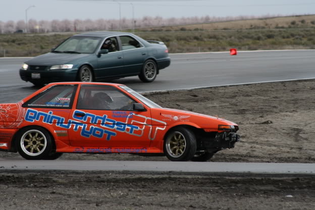 Name:  Castrobuttonwillow6.jpg
Views: 17
Size:  59.4 KB