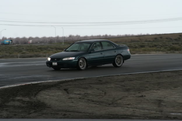 Name:  CastroButtonwillow.jpg
Views: 17
Size:  37.0 KB